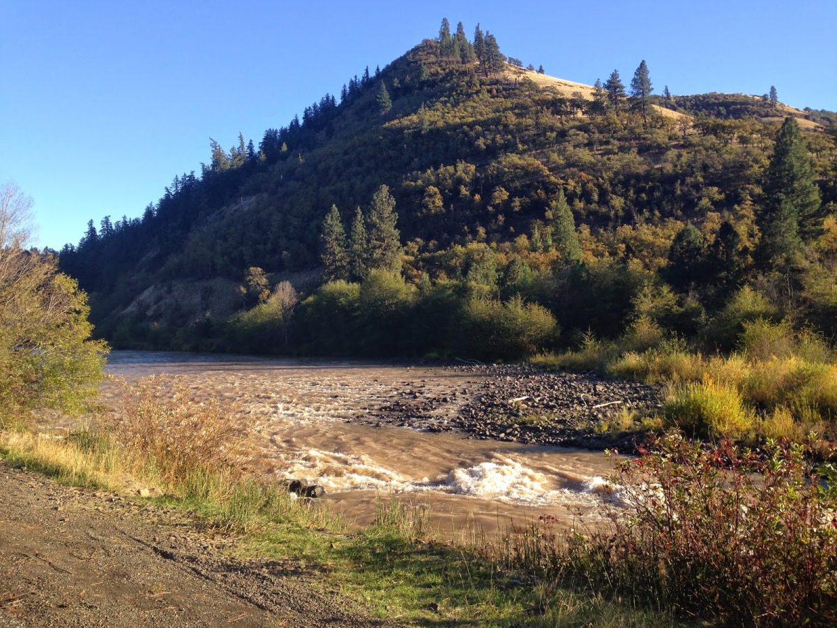 KLICKITAT RIVER REPORT – 10/18/14