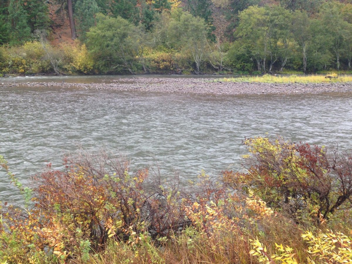 KLICKITAT RIVER REPORT – 10/21/14