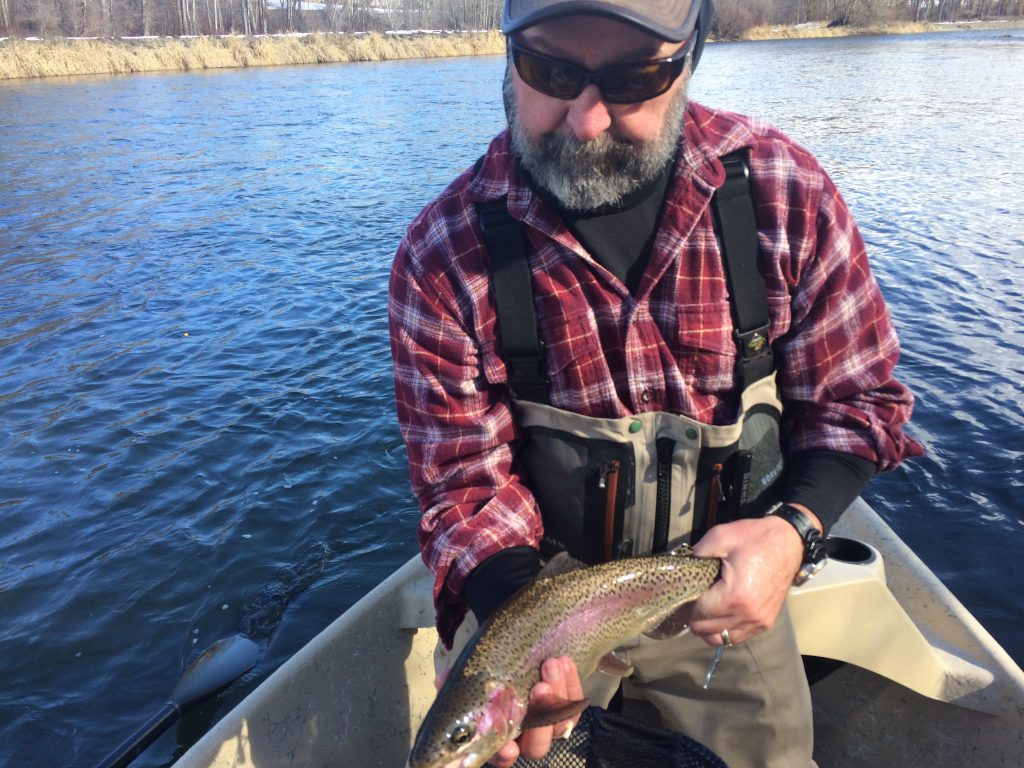 Healthy Yakima trout