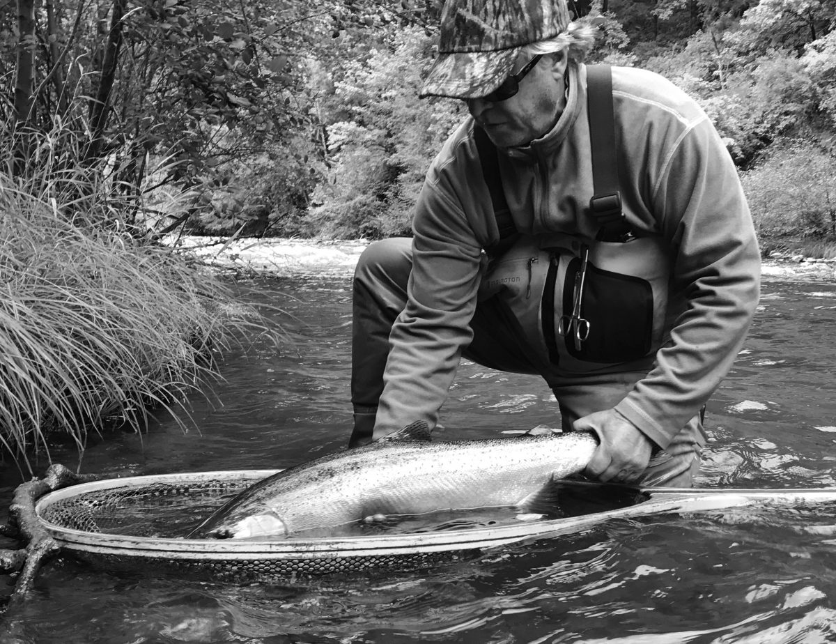 Klickitat Steelhead The Evening Hatch