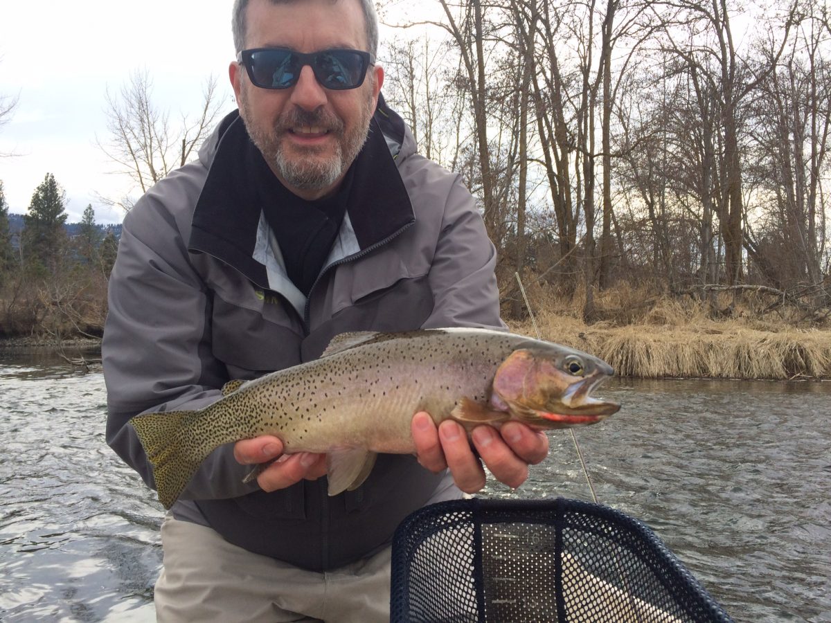Yakima Trout The Evening Hatch