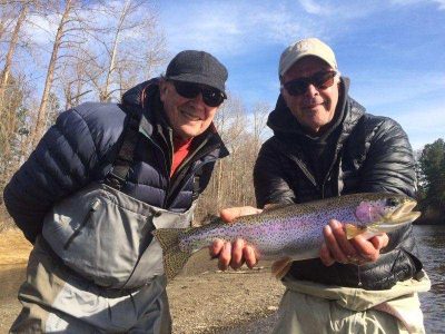 Yakima river trout