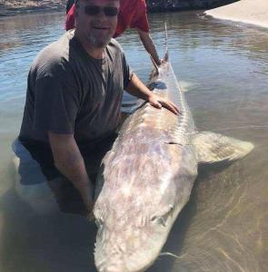 Sturgeon fishing on the Columbia