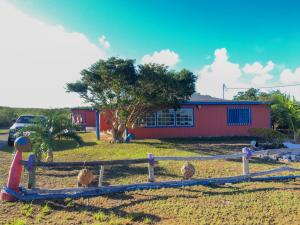 photo nov 10, 07 53 19