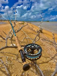 photo nov 12, 11 51 33